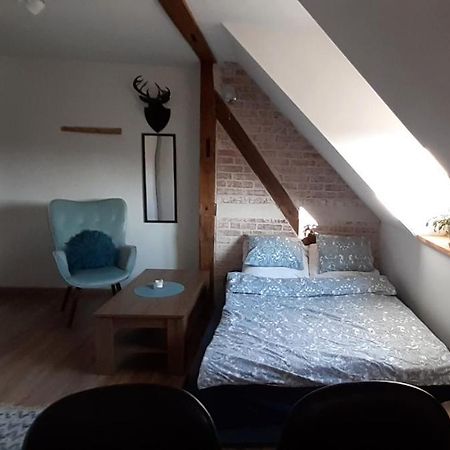Urocze Studio Z Klimatem W Centrum Legnicy Legnica Bagian luar foto
