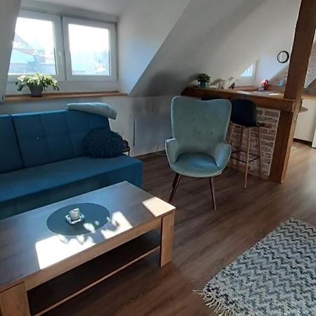 Urocze Studio Z Klimatem W Centrum Legnicy Legnica Bagian luar foto