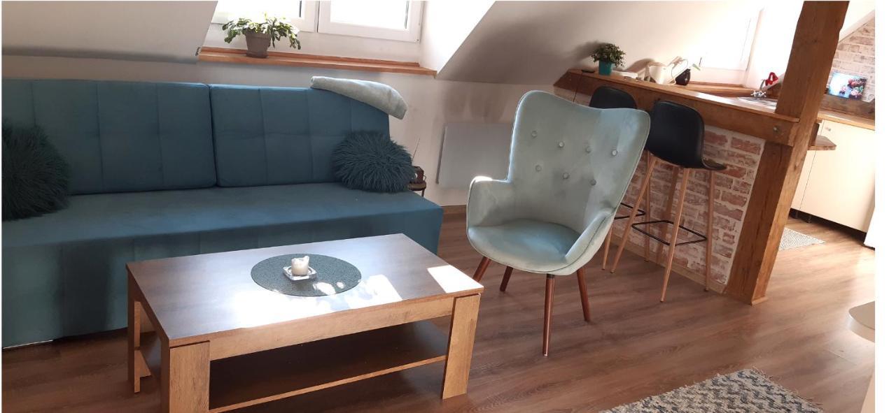 Urocze Studio Z Klimatem W Centrum Legnicy Legnica Bagian luar foto