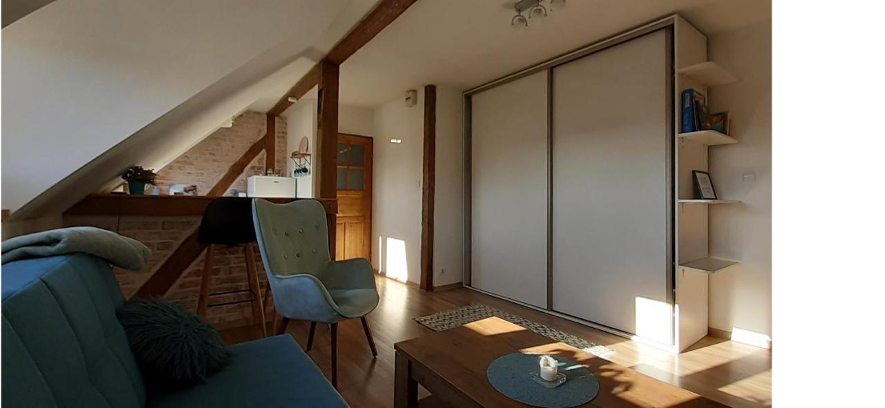 Urocze Studio Z Klimatem W Centrum Legnicy Legnica Bagian luar foto