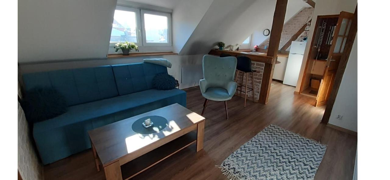 Urocze Studio Z Klimatem W Centrum Legnicy Legnica Bagian luar foto